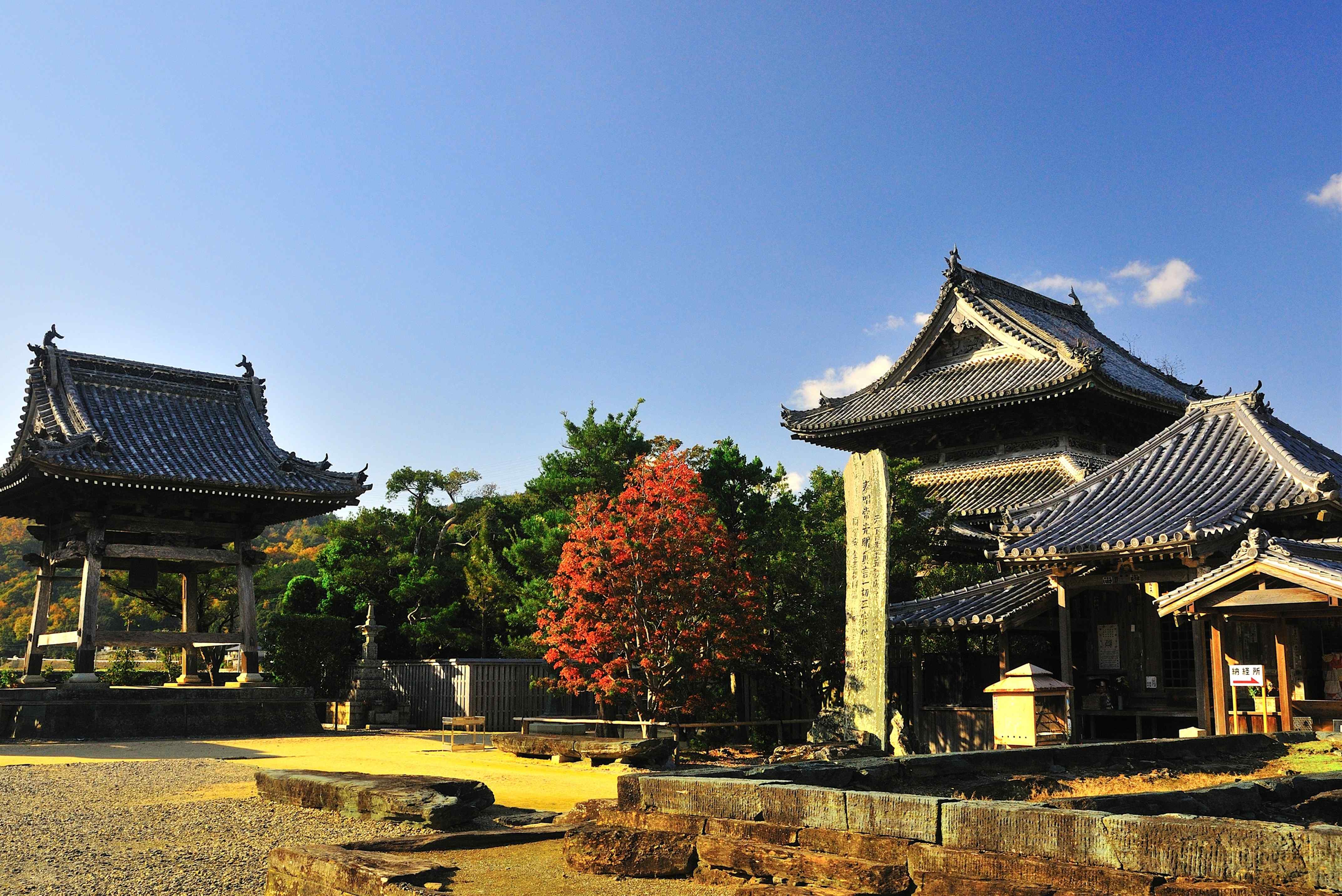 🏯 아와 고쿠분지 (Awa Kokubunji) 이미지 2